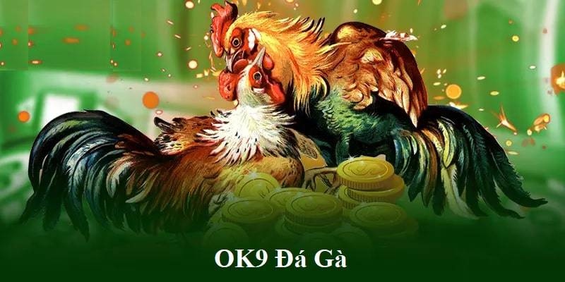 Tổng quan thông tin về đá gà OK9